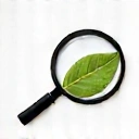 Uncompromising Quality Icon